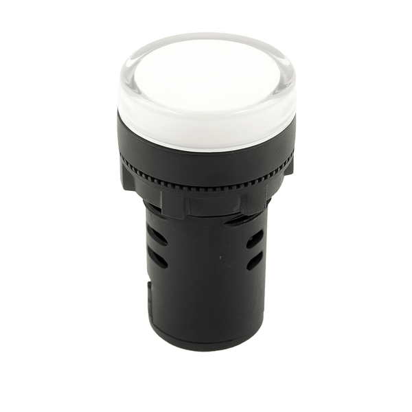 Chint LED Pilot Light - White, 240V AC/DC, 22mm, Flat Head Top