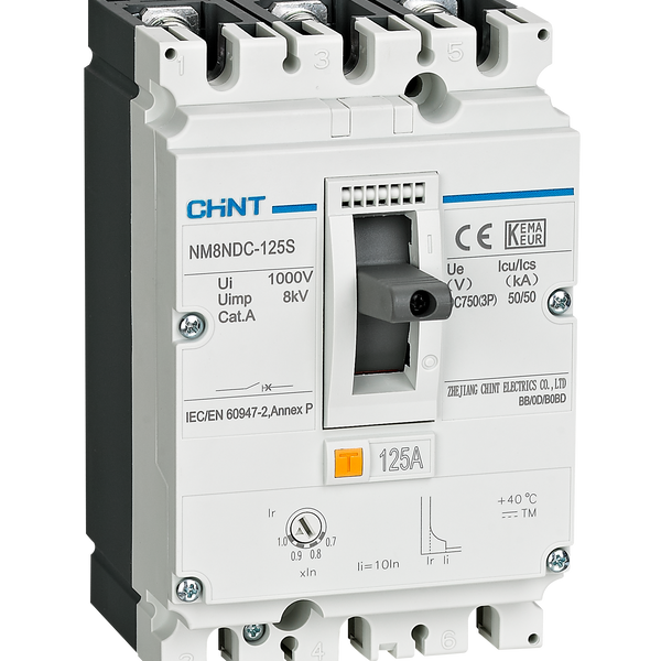 CHINT DC Circuit Breaker 200A 50KA DC500V Adjustable (0.7-1In)