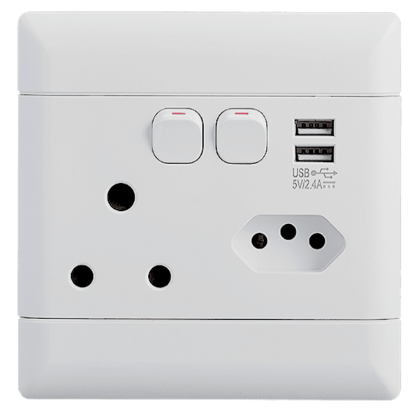 Neu SSO Single + Euro + USB (A;C Type FC) 100×100 NESSE2U44