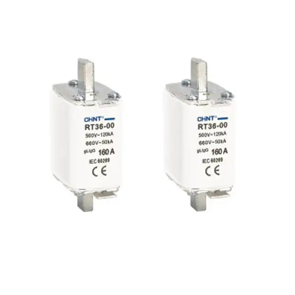 CHINT Fuse 63A AC500V/DC250V gG/gL (NHR17-160)