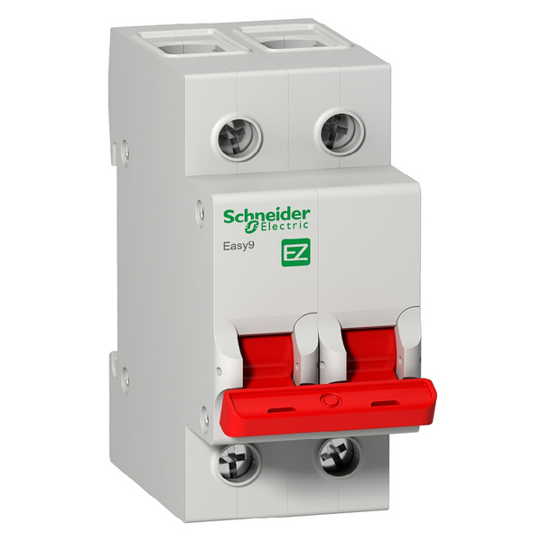 Schneider Easy9 63 A 2-Pole (2P) isolator