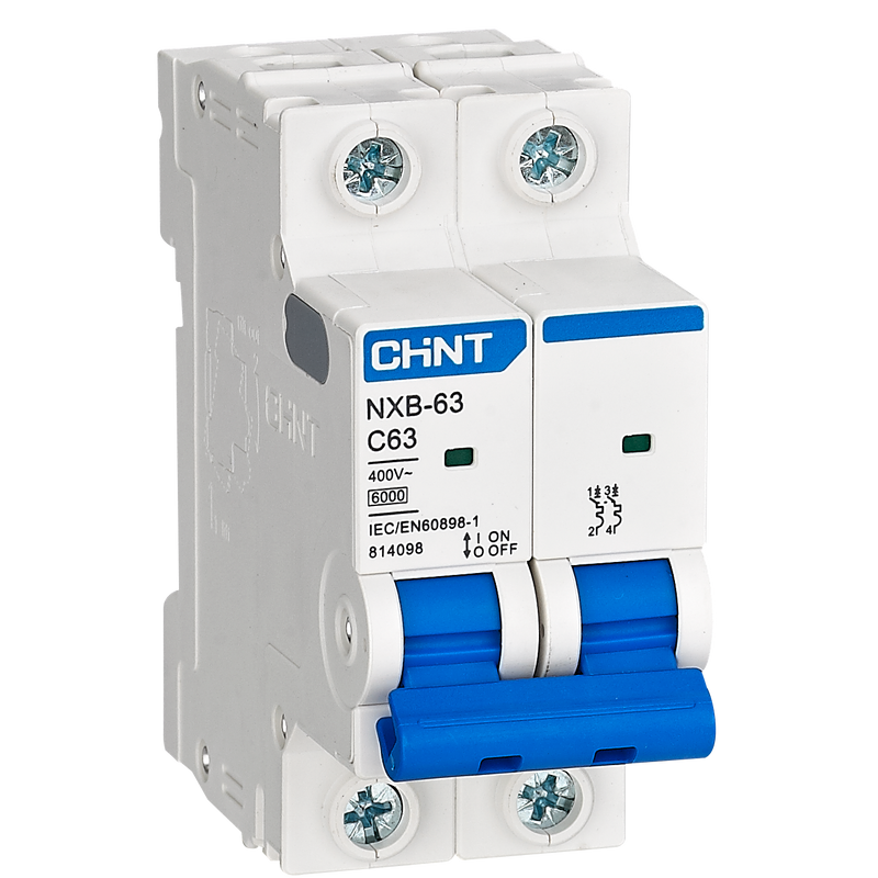 CHINT 6kA 2P 100A Circuit Breaker C-Curve AC/DC