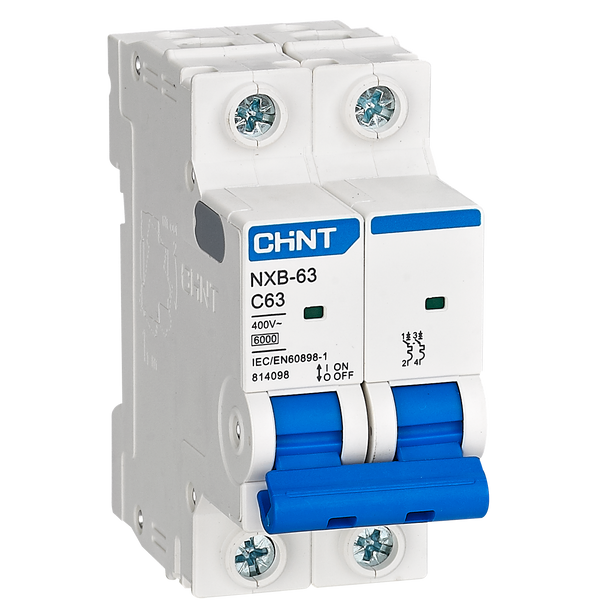 CHINT 10kA 2P 80A Circuit Breaker C-Curve AC/DC