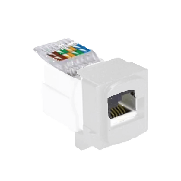 Neu Module Data White