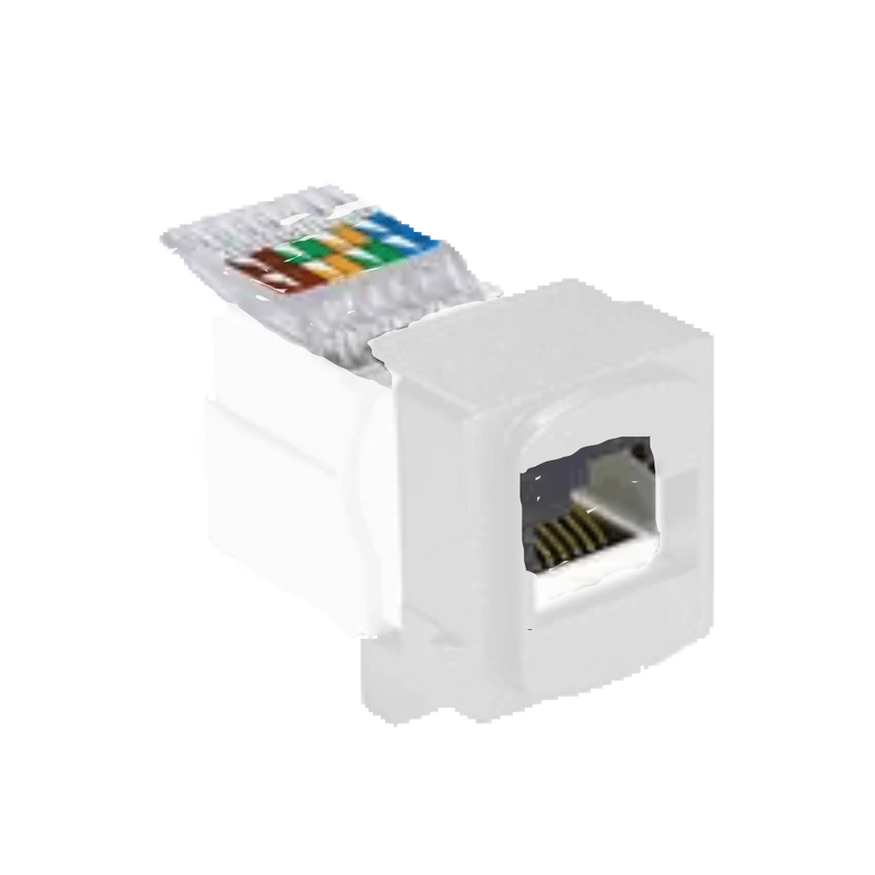 Neu Module Data White