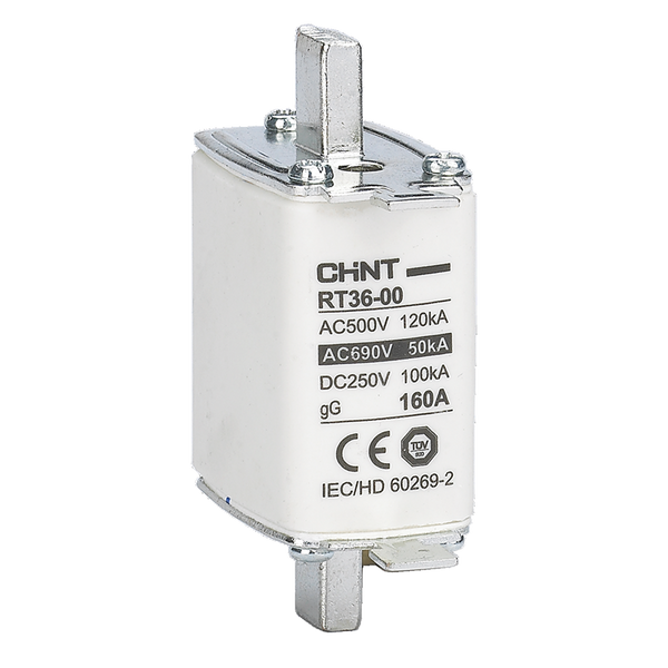 Chint Fuse Link NH00 160 A gG/gL (AC 500 V / DC 250 V)