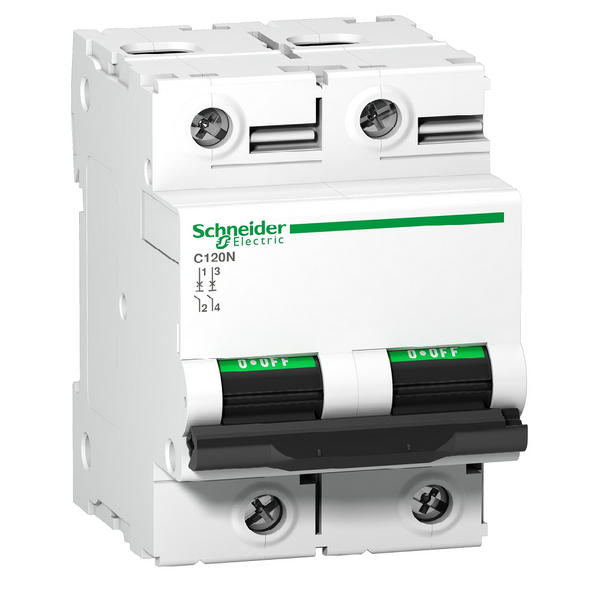 Schneider C120N 2P C-Curve MCB, 125A (10kA, 55mm)