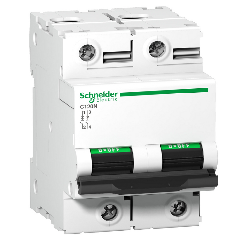 Schneider C120N 2P C-Curve MCB, 125A (10kA, 55mm)