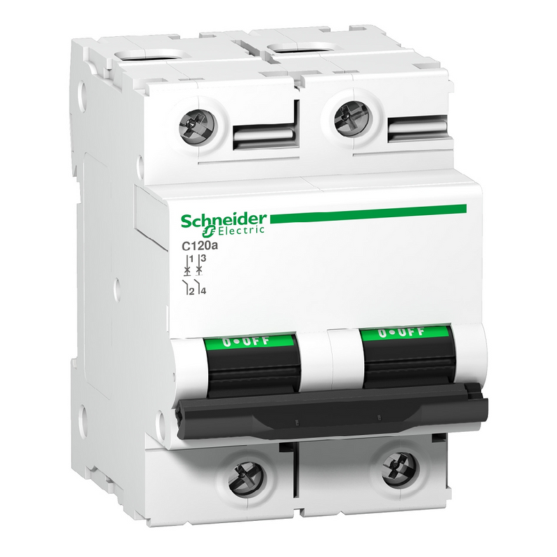 Schneider 100A 2P C-Curve MCB, 6kA (55mm DIN Rail)