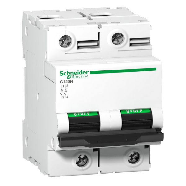 Schneider C120N 2P C-Curve MCB, 100A (10kA)