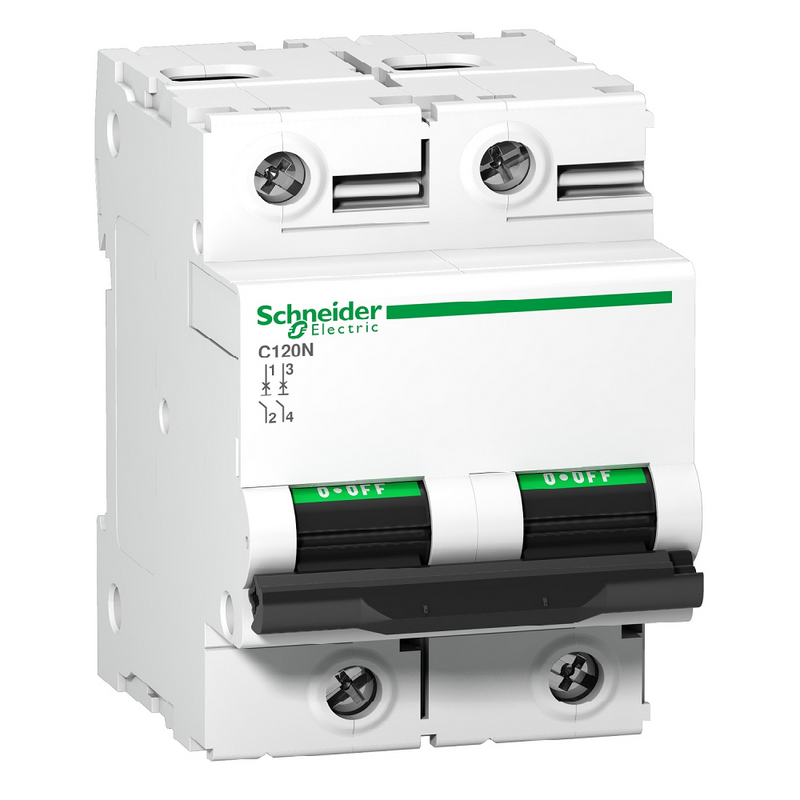 Schneider C120N 2P C-Curve MCB, 100A (10kA)